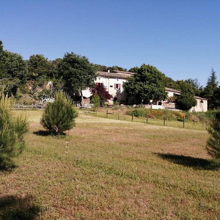 Gites La Ferme Accrochee A La Colline Lagorce  Eksteriør billede